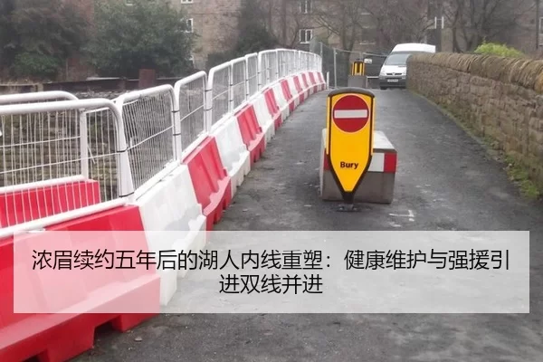 浓眉续约五年后的湖人内线重塑：健康维护与强援引进双线并进